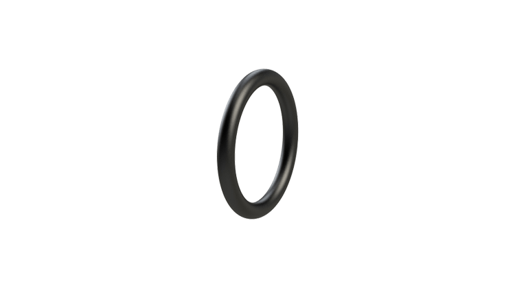 O-RING EUR 36/55/95